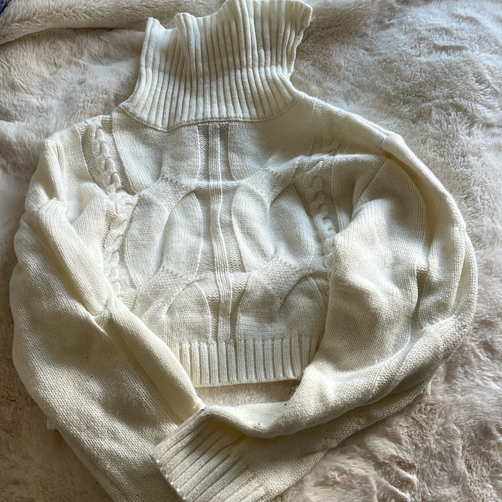 Cropped turtleneck